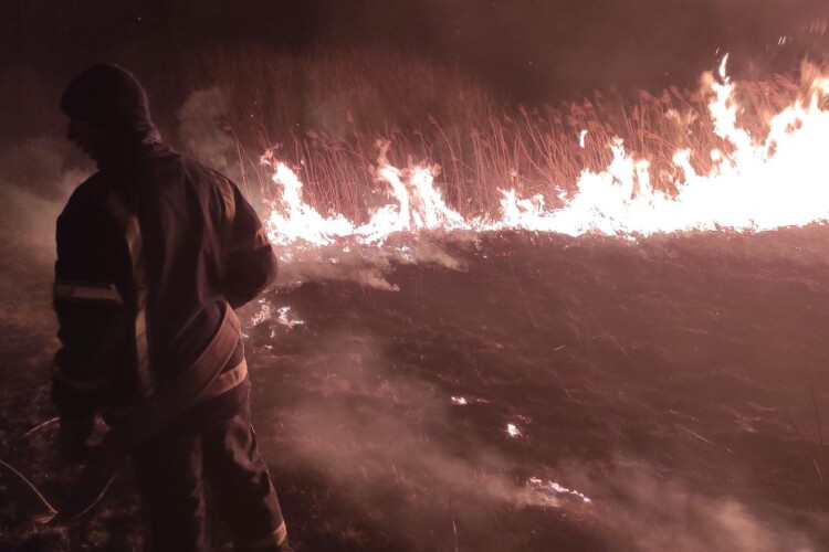 На Горохівщині серед ночі рятувальники боролися з вогнем на площі 0,5 га (Відео) 