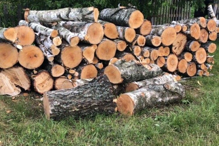 Волинянину повідомили про підозру в незаконній порубці дерев на заповідній території (Фото)