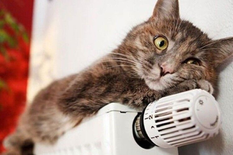 Кому повернуть тепло у разі похолодання та що буде з гарячою водою у Луцьку