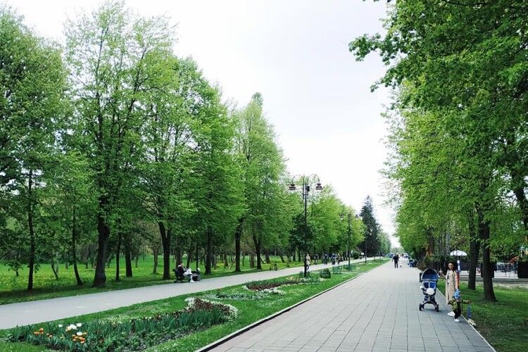 У Луцьку на вході до Центрального парку хочуть встановити світлофор