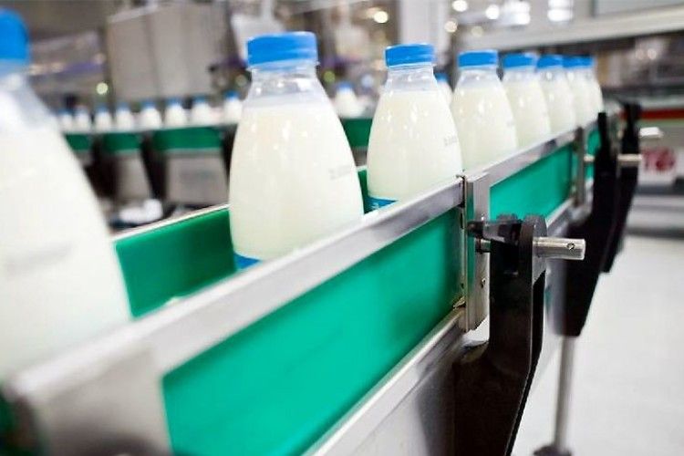 Волинь-2018: молока переробили більше, худоби - менше