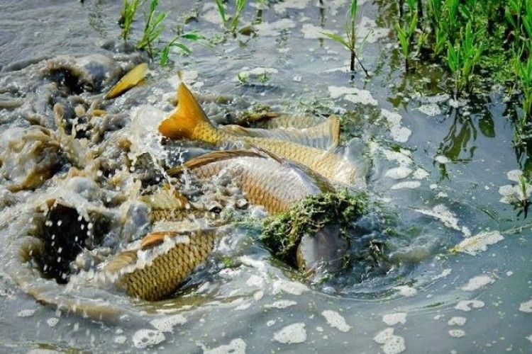 У Володимирі-Волинському пройдуть профілактичні рейди