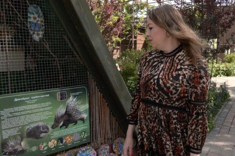 У Луцькому зоопарку – новий мешканець – врятований дикобраз Тоша