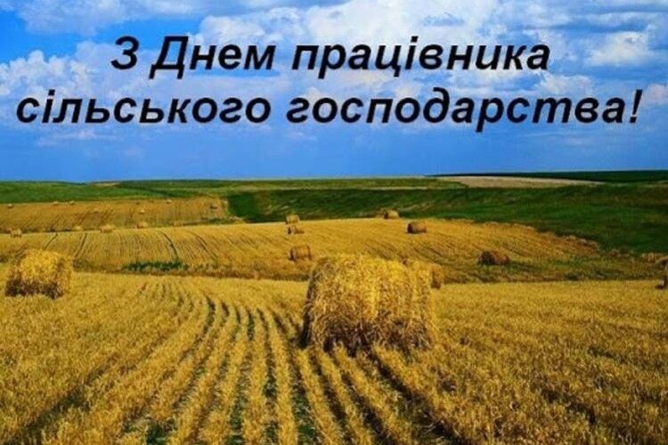 Чудова новина до свята аграріїв: українські селекціонери збільшили врожайність пшениці в 2 рази