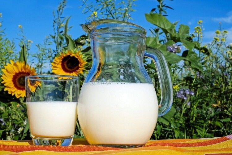На молочному ринку України вже не вистачає вже 20% сировини
