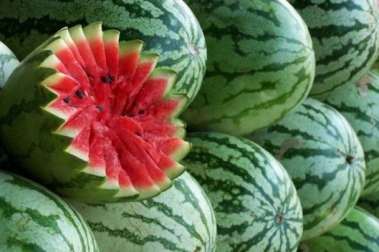 В Україні розпочався сезон кавунів