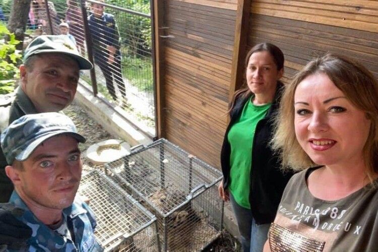 Луцький зоопарк поповнився новими мешканцями з родини котячих (фото)