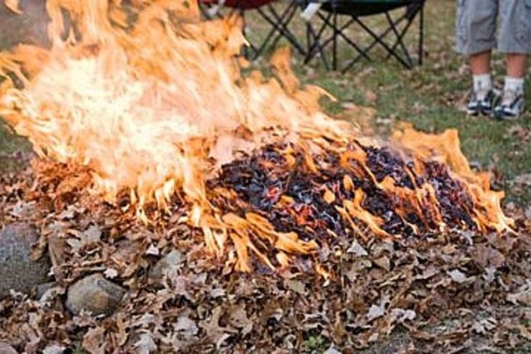 У Березному пенсіонер спалював сміття на присадибній ділянці – опинився в реанімації зі страхітливими опіками