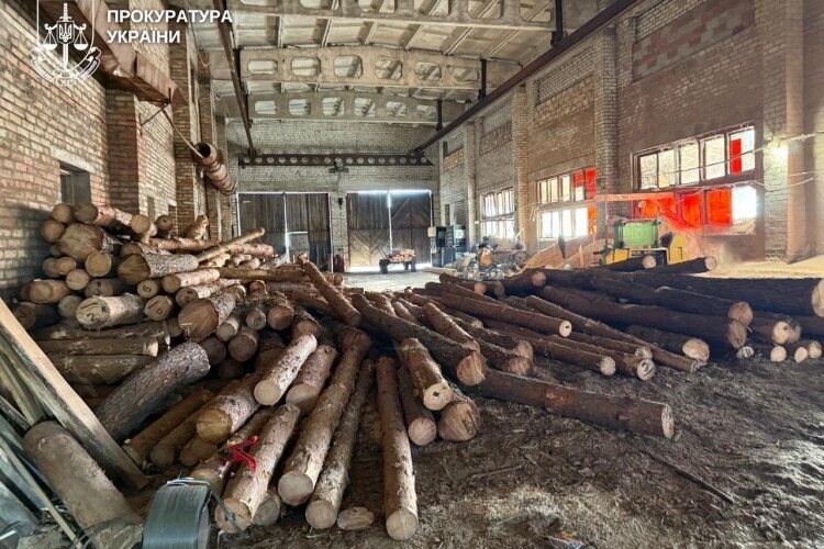 На Рівненщині власник пилорами «захищав» крадений ліс кулаками