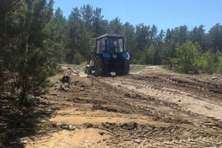 На Волині в полі знайшли розкидані рештки тварин