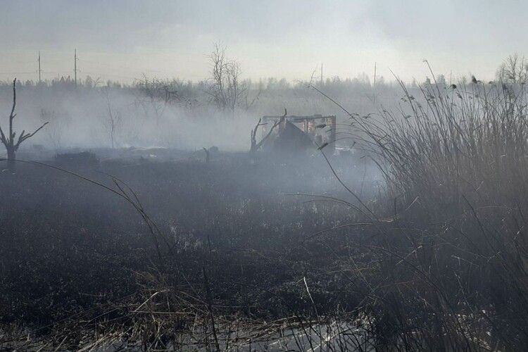 Через підпал сухої трави біля Червонограда згоріло 10 дачних будиночків