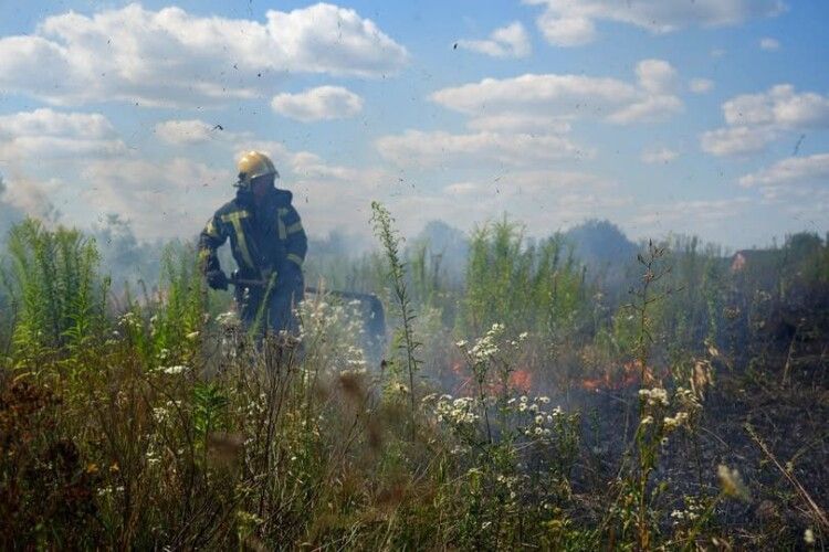 Майже гектар у вогні: на Волині знову гасили пожежі сухої трави та чагарників 