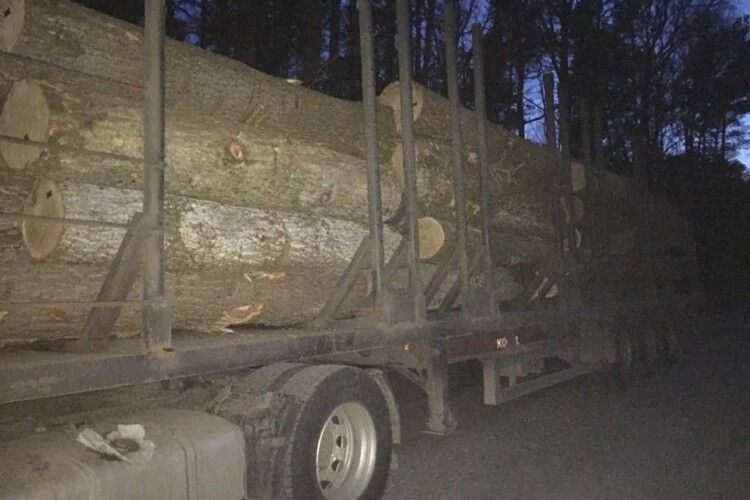 На Любомльщині затримали вантажівку, на якій перевозили незаконно зрізані дуби