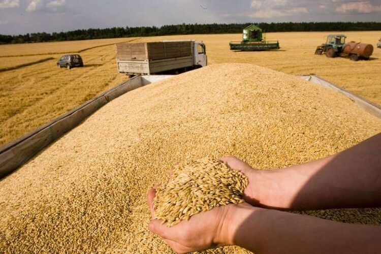 В Україні вже намолочено 14 мільйонів тонн зерна