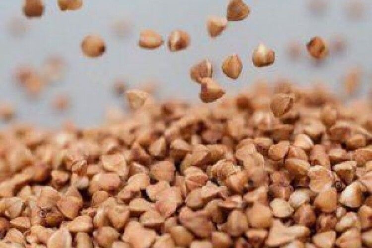 Гречкосійство: відкриють «музей» підкупу виборців