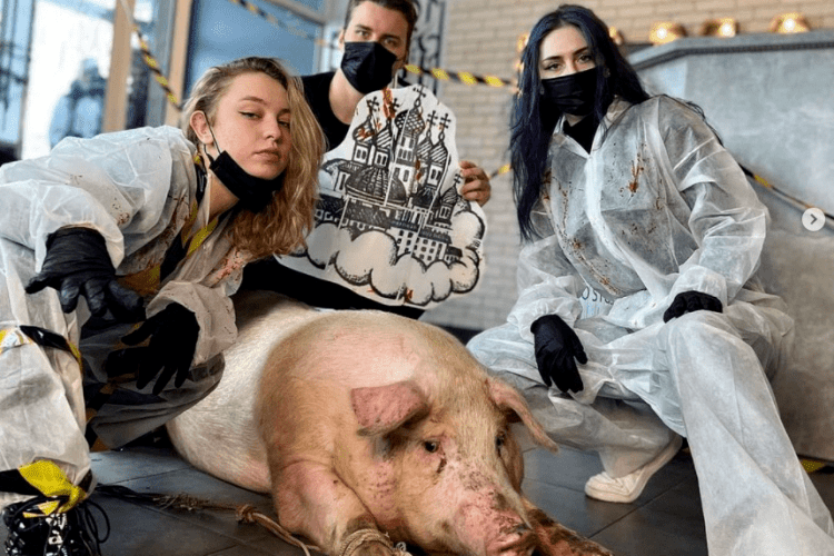 Свиню везли на «забій»: ЗМІ дізналися деталі гучного зооскандалу довкола столичного тату-салону (Фото)