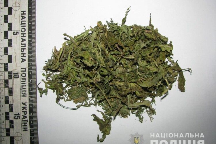 У чотирьох жителів Рівненщини поліцейські виявили марихуану