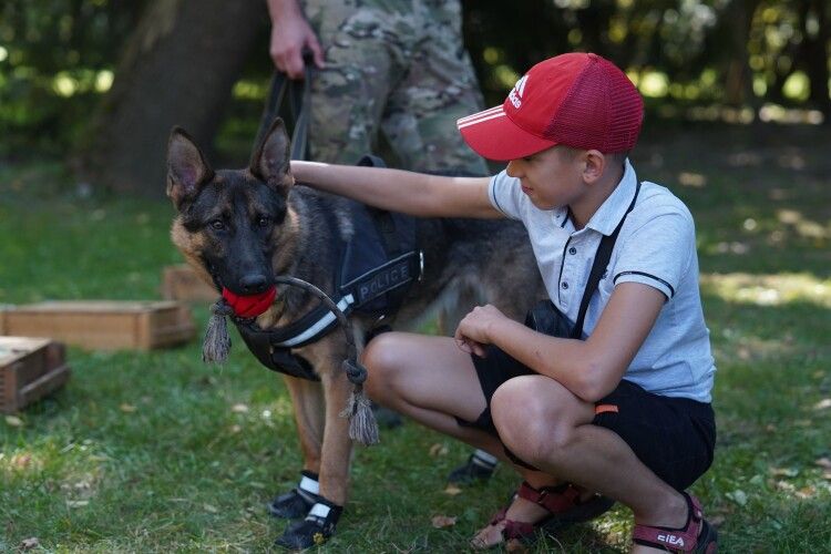 Сьогодні у луцькому парку всі були в захваті від собаки Ніки