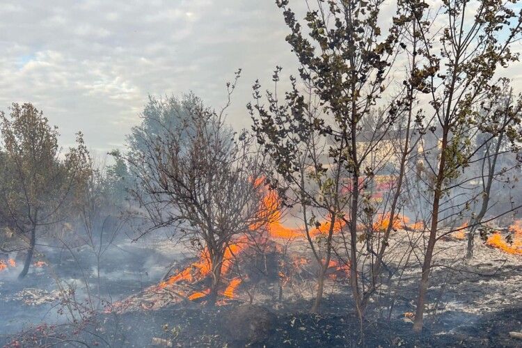 Чому поблизу обласного центру Волині валив великий дим