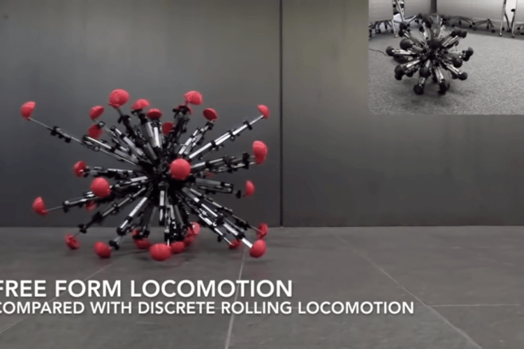 Такого Колобка ми ще не бачили! (Відео) 