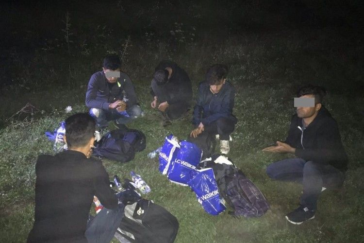 Затримали 12 незаконних мігрантів