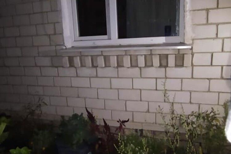 Службовий пес винюхав злодія, який обікрав будинок волинян