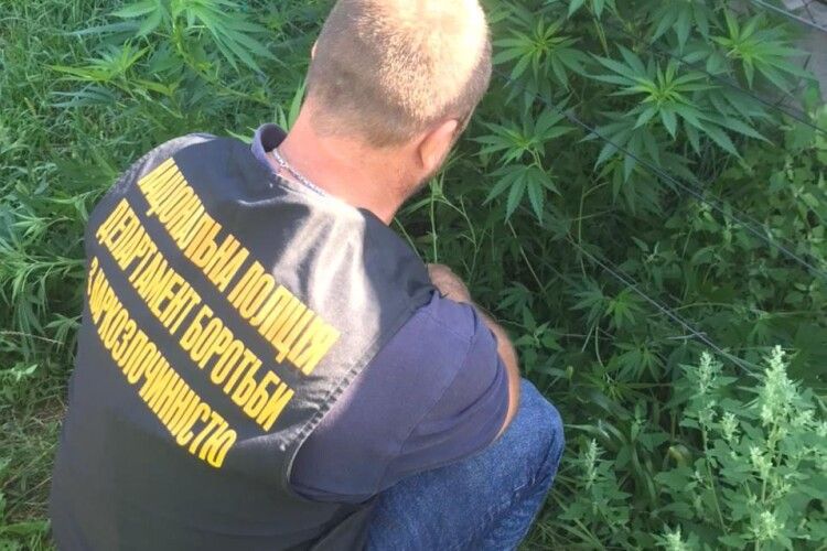 На Рівненщині поліція «збирає врожай» (Фото)