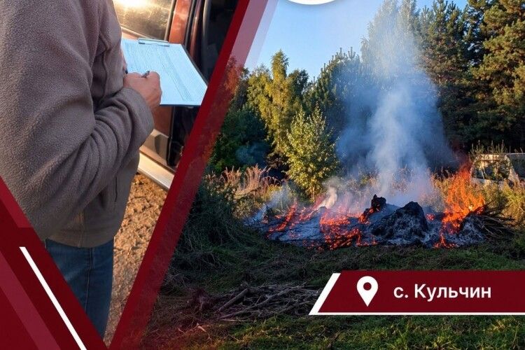 Замість чистоти – протокол: у селі біля Луцька затримали палія сухостою