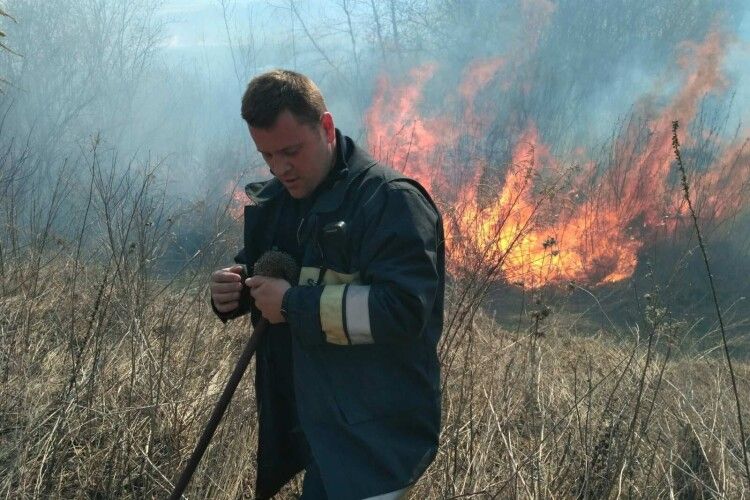 Волинь палає: учора рятувальники загасили 10 пожеж на відкритих територіях