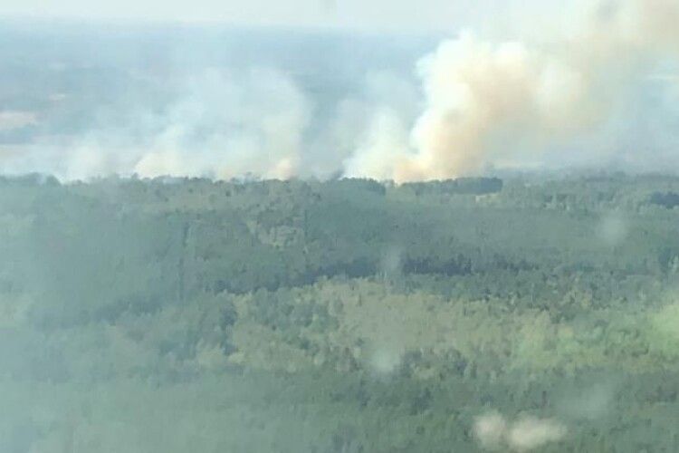 Пожежа у Чорнобильській зоні: жінка підпалила траву, щоб помститися колишнім роботодавцям