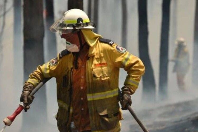 Лісові пожежі в Австралії: МЗС перевіряє, чи можуть бути українці серед постраждалих