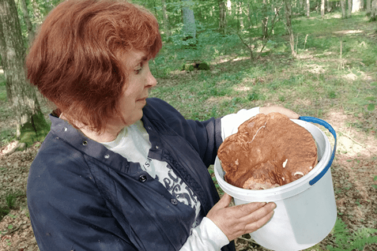 Рівнянка «вполювала» гриба-гіганта (Фото)