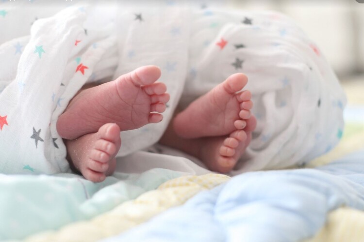 Горохівщина зустріла травень «співом» новонароджених немовлят