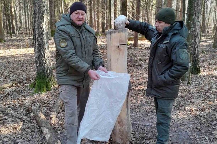 Працівники нацпарку на Волині подбали про лісових мешканців