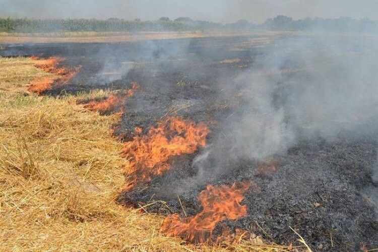 Чоловік палив стерню на своєму полі, а знищив 43 гектари сусідської пшениці