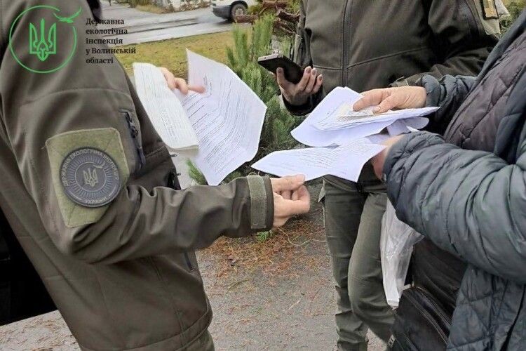 Під час рейдів на Волині виявили незаконну порубку лісу 