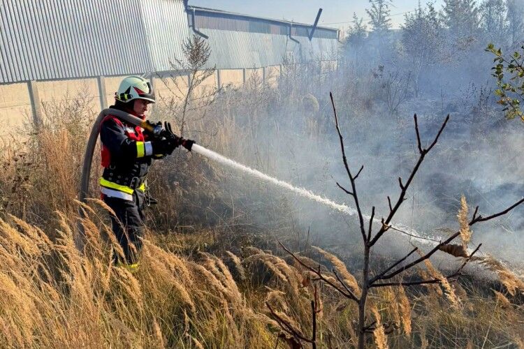 Один сірник – і палають гектари: на Волині ліквідували пожежу сухостою