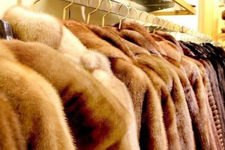 Харківська рецидивістка винесла з магазину хутряних виробів... три норкових шуби у дамській сумочці