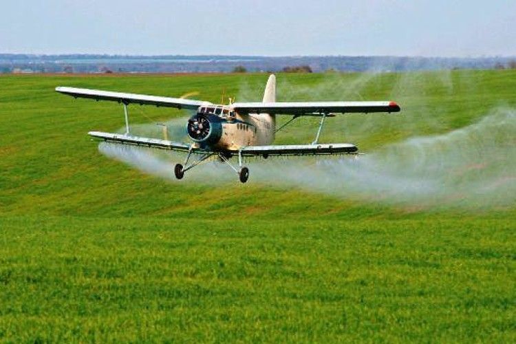 На Сумщині розбився «кукурузник»