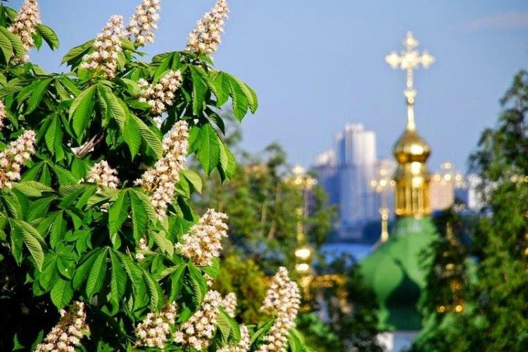 «Знов зацвітуть каштани!»: «Динамо» перемагає «Астану» й виходить у «єврокубкову весну» (відео)