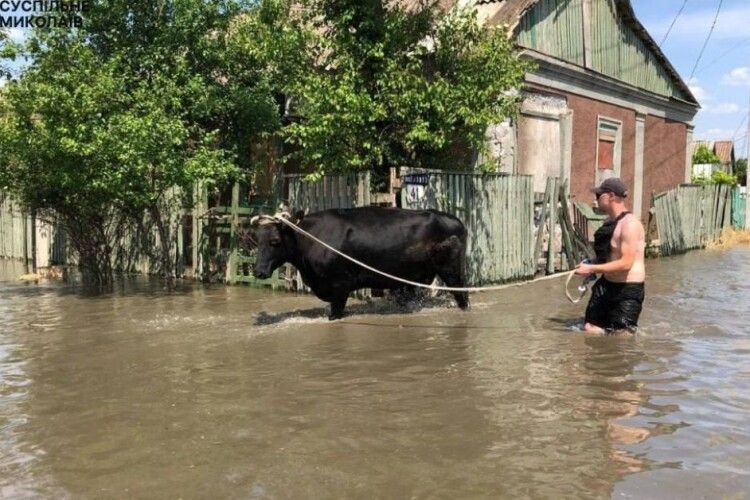 П'яні рашисти не дали евакуюватись людям із затопленого села: яка ситуація на фронті на вечір 7 червня
