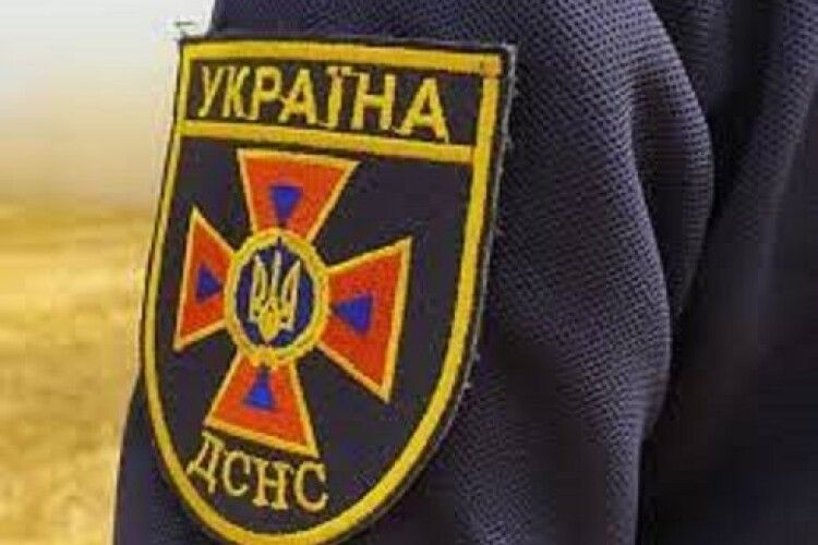 На Волині на дорогу впало дерево