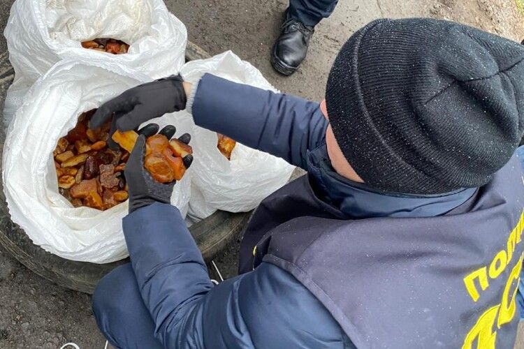 На Рівненщині поліцейські викрили голову сільради: віз 30 кілограмів бурштину 