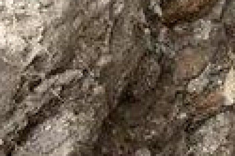 У Луцьку археологи виявили фундамент однієї з веж Окольного замку (Фото)