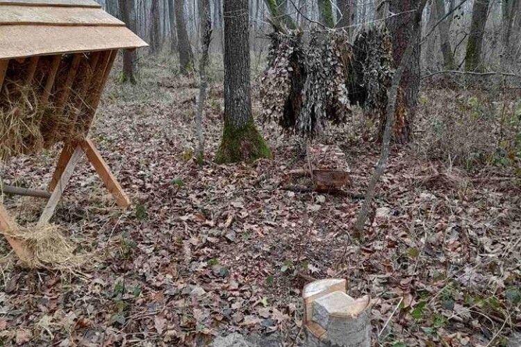 Як у нацпарку на Волині взимку підгодовують диких тварин (Фото)