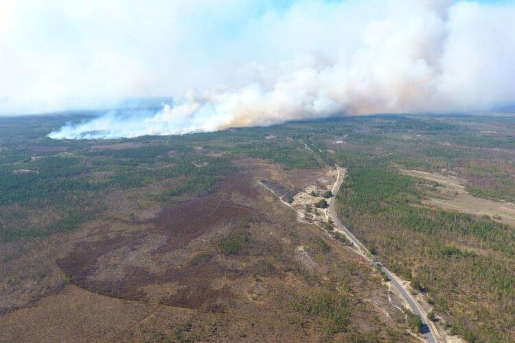 У трьох районах Рівненщини всім людом гасять пожежі у лісових масивах