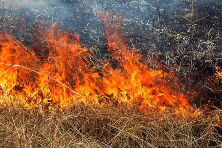 На Камінь-Каширщині б'ють на сполох через пожежі
