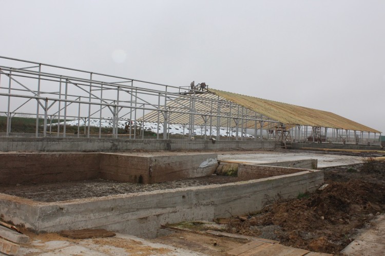 На Волині будують унікальний тваринницький комплекс