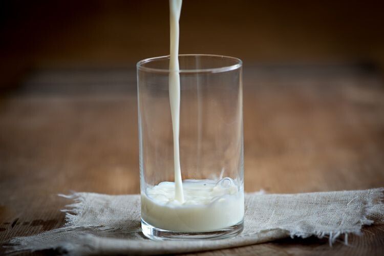 Україна на 22 місці у рейтингу світових виробників молока