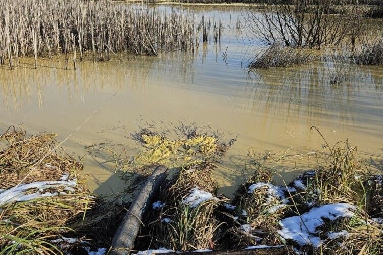 На Волині спіймали на гарячому автівку, яка зливала гидоту у водойму